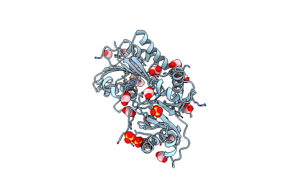 4B17 image
