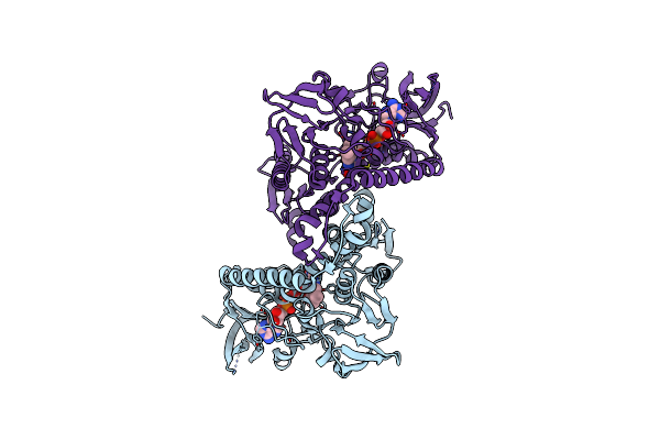 4B1B image