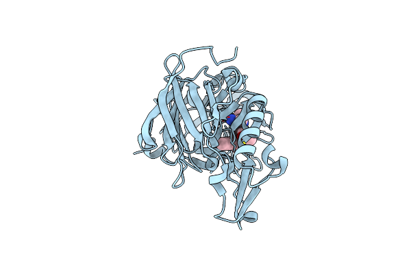 4B1C image
