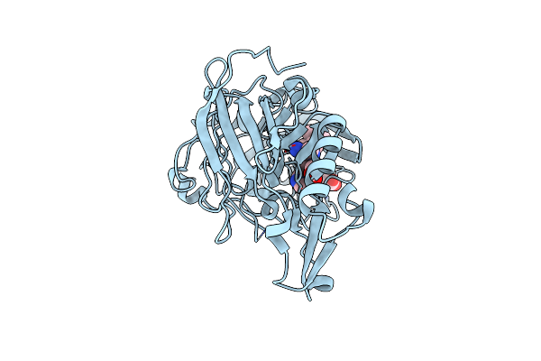 4B1D image