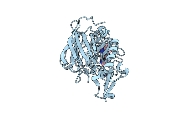 4B1E image