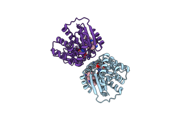 4B1F image