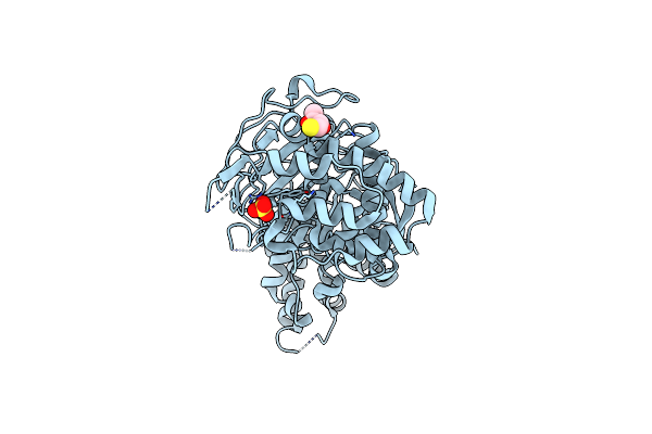 4B1G image
