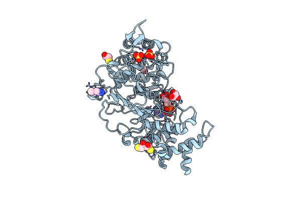 4B1H image