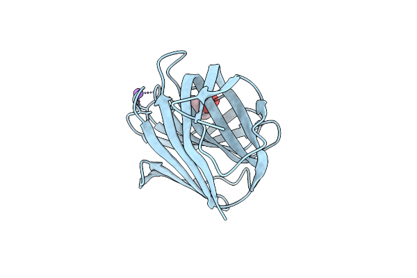 4B1L image