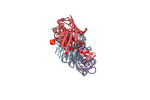 4B1M image