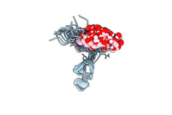 4B1Q image