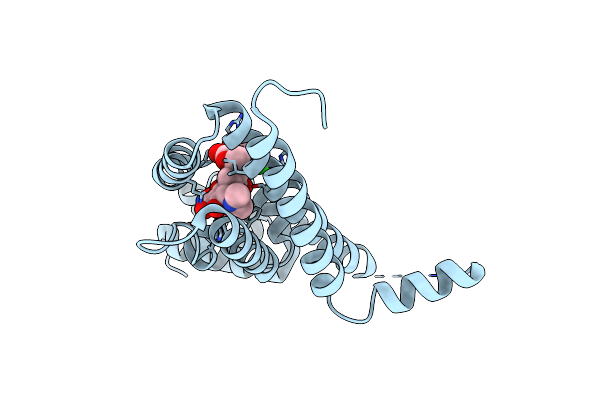 4B1R image