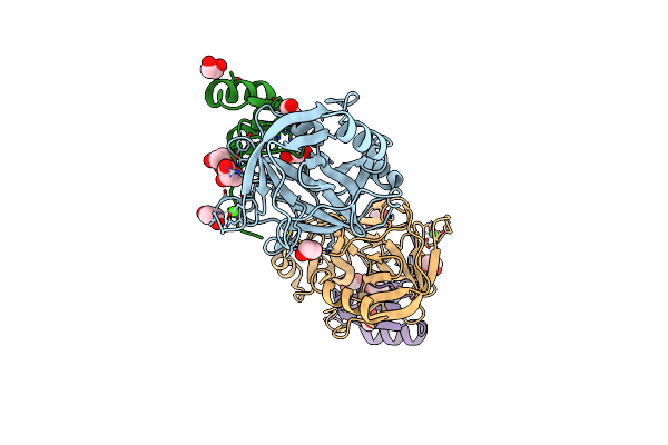 4B1T image