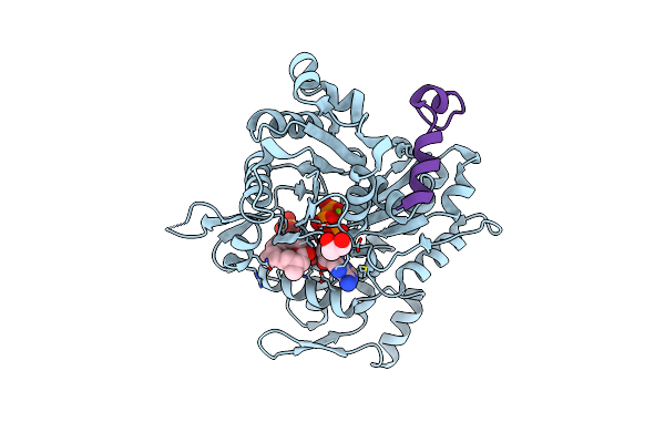 4B1W image