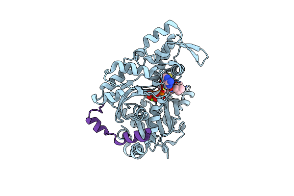 4B1X image