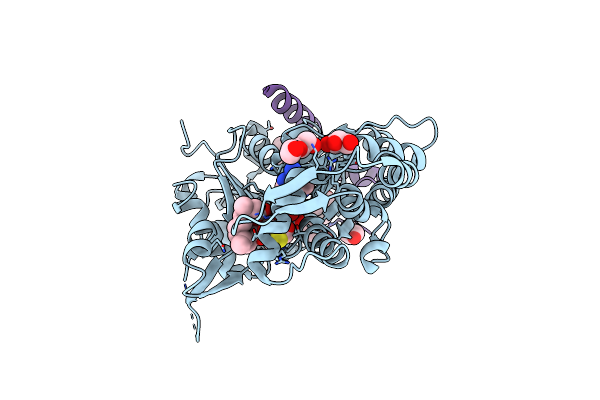 4B1Y image