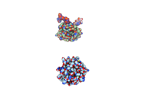 4B20 image