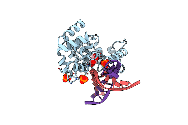 4B21 image