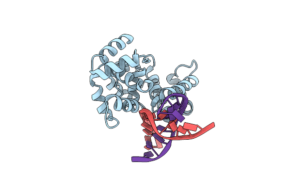 4B24 image