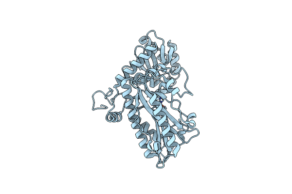 4B28 image