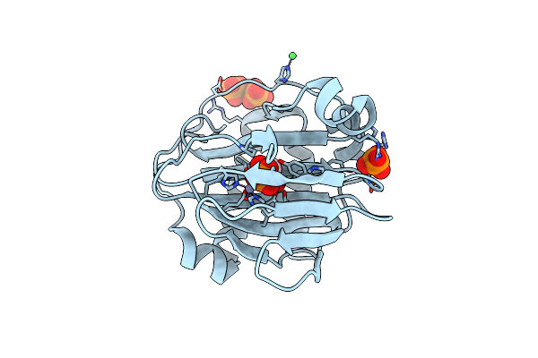 4B29 image
