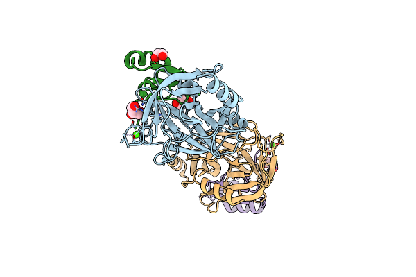 4B2A image