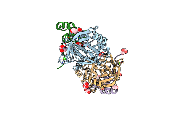 4B2B image
