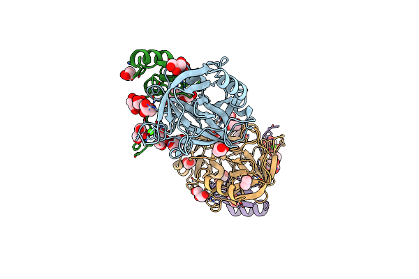 4B2C image
