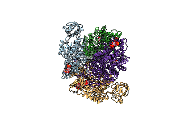4B2D image