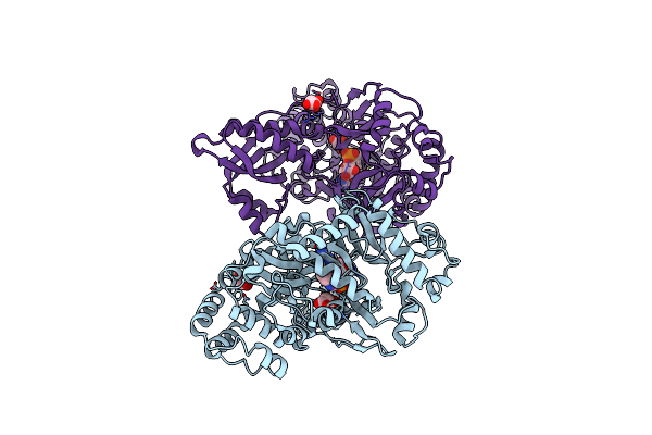 4B2G image