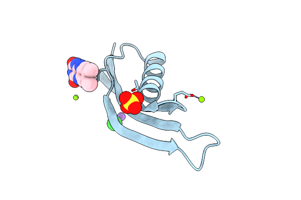 4B2M image