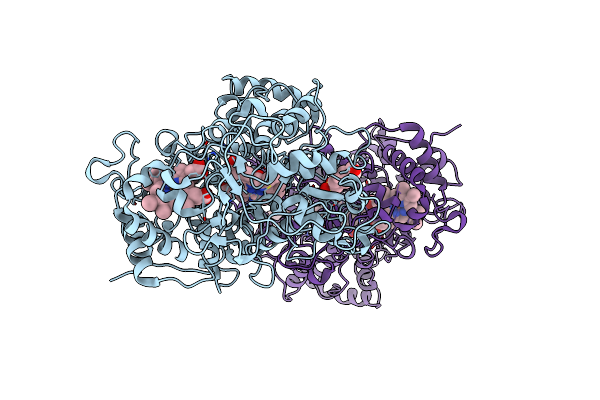 4B2N image