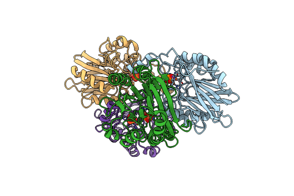 4B2O image