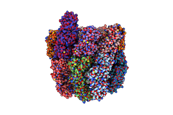 4B2T image
