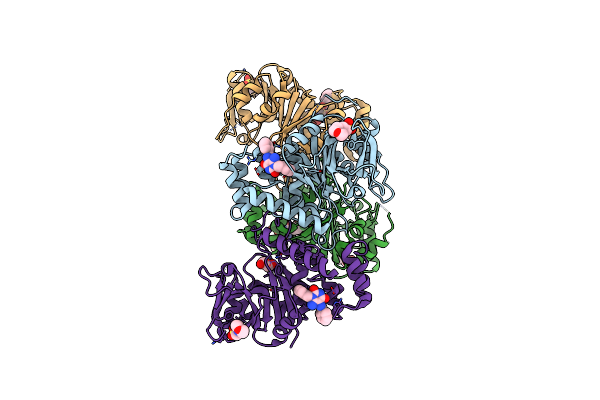 4B2W image
