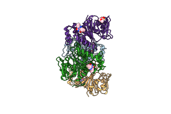 4B2X image