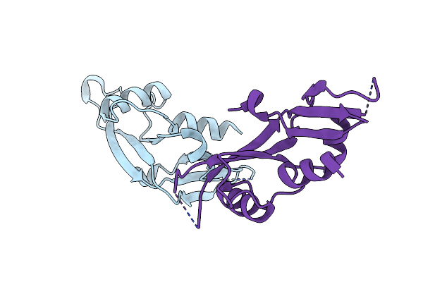 4B36 image