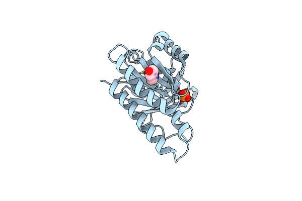 4B3C image