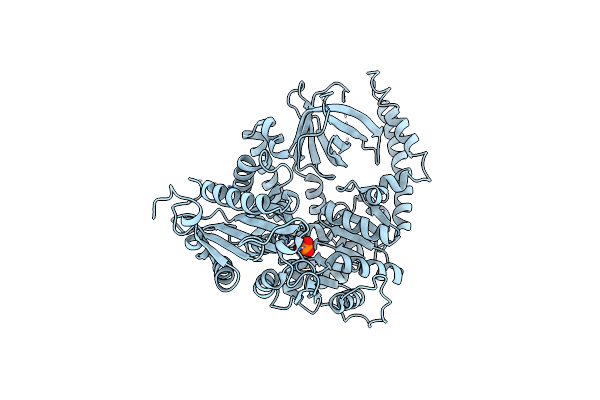 4B3F image