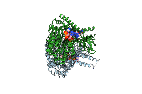 4B3G image