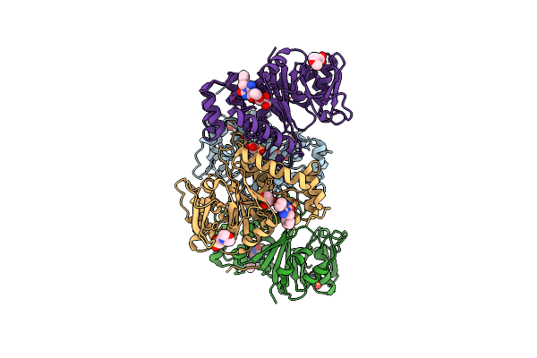 4B3U image