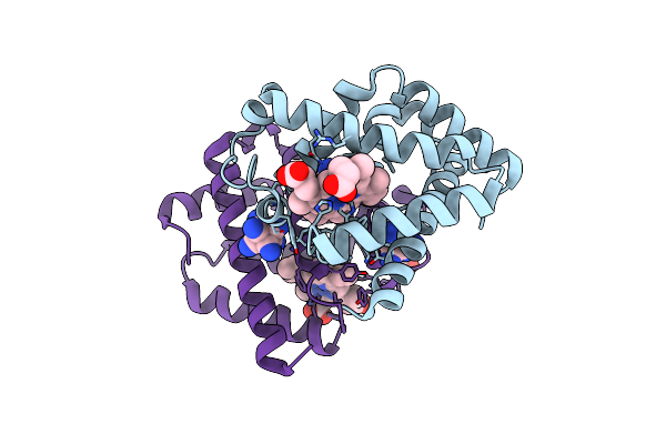 4B3W image
