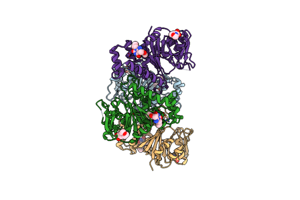 4B42 image