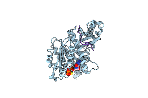 4B45 image