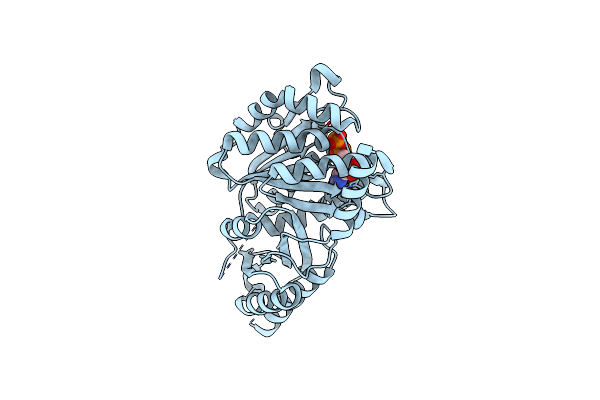 4B46 image