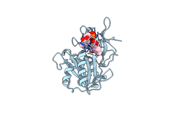 4B4D image