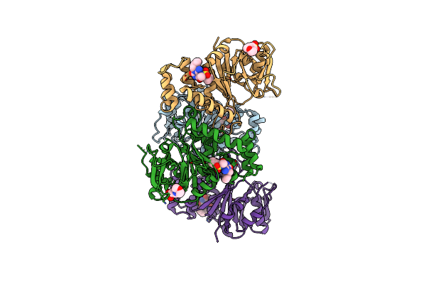 4B4G image