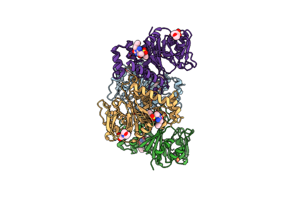 4B4M image