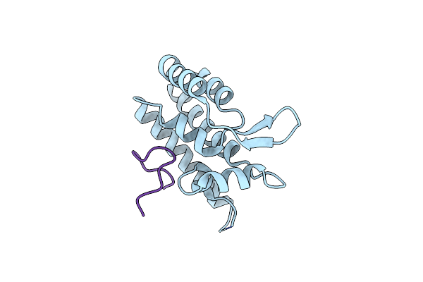 4B4N image