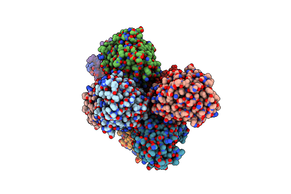 4B4O image