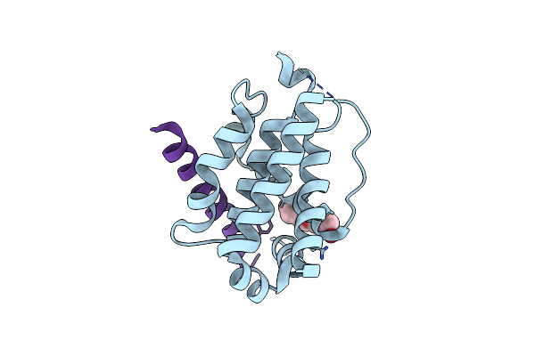 4B4S image