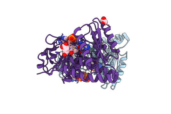 4B4W image
