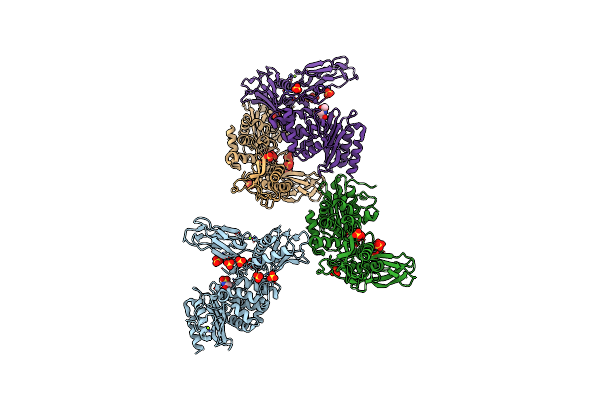 4B4X image