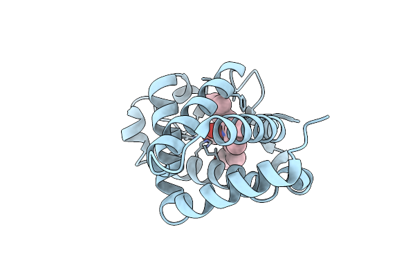 4B4Y image